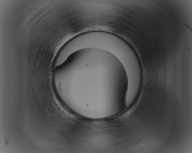 X0000103220989200809251131