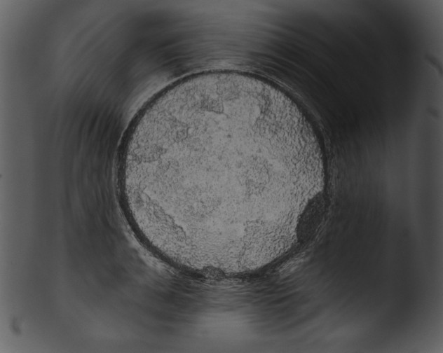 X0000103220991200809251131