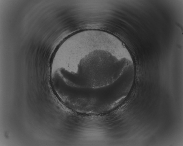 X0000103220992200809251131