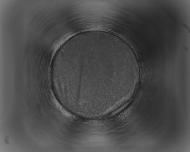 X0000103220995200809251131