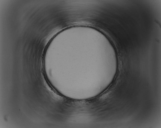 X0000103220999200809251131