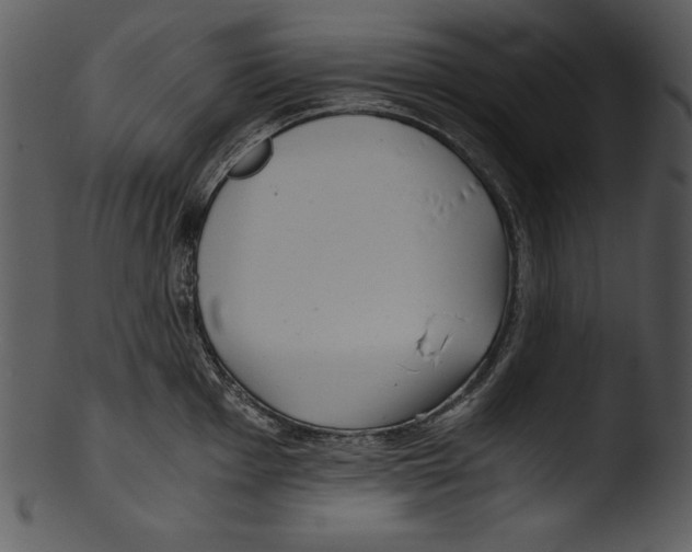 X0000103221001200809251131