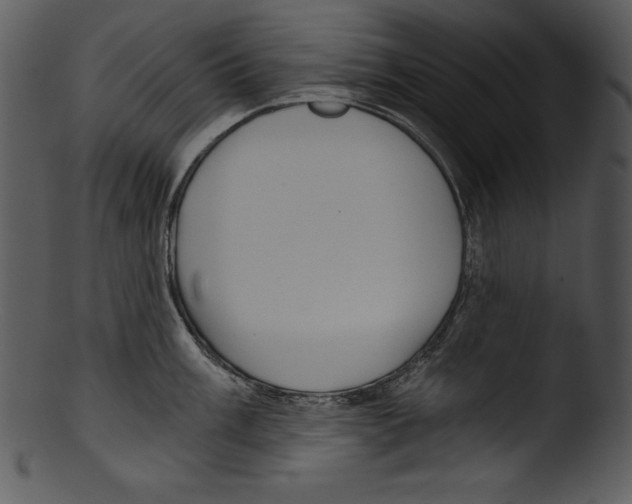 X0000103221003200809251131