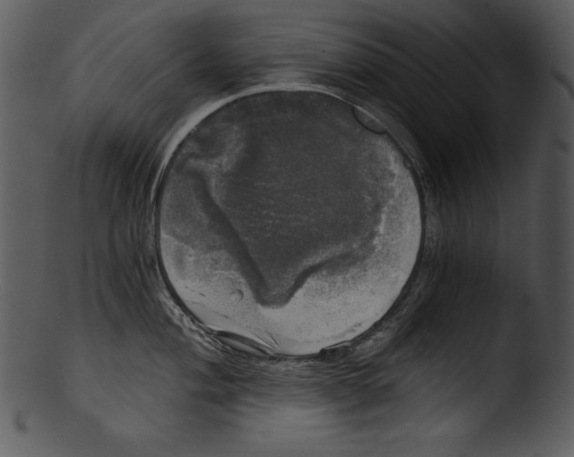 X0000103221004200809251131