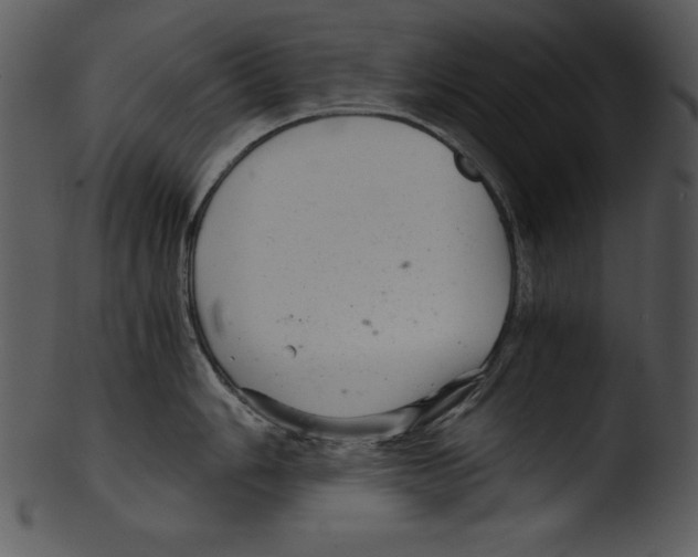 X0000103221006200809251131