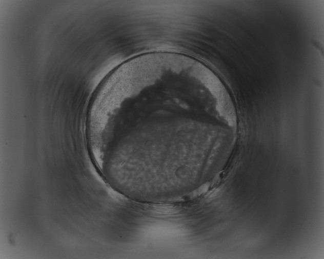 X0000103221007200809251131