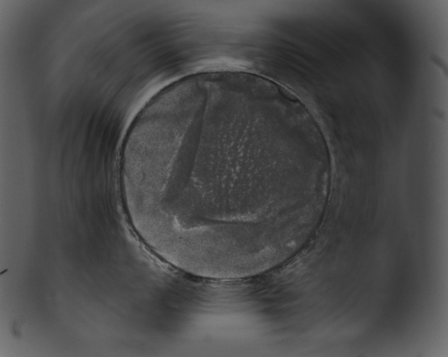 X0000103221008200809251131