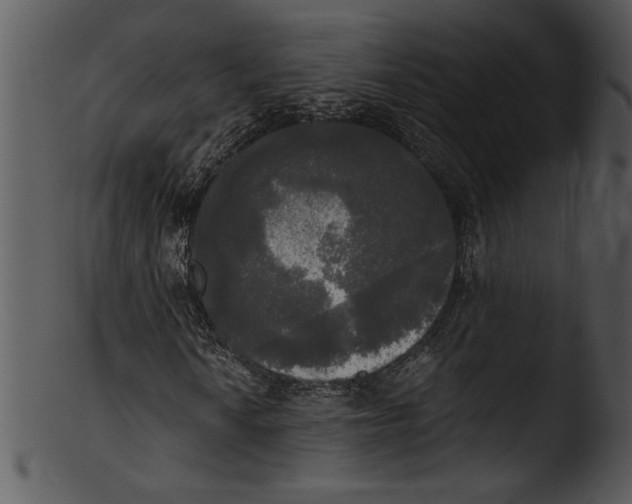 X0000103221010200809251130