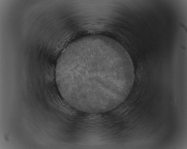 X0000103221012200809251130