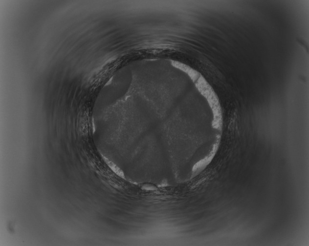 X0000103221014200809251130