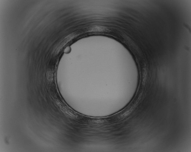 X0000103221017200809251130