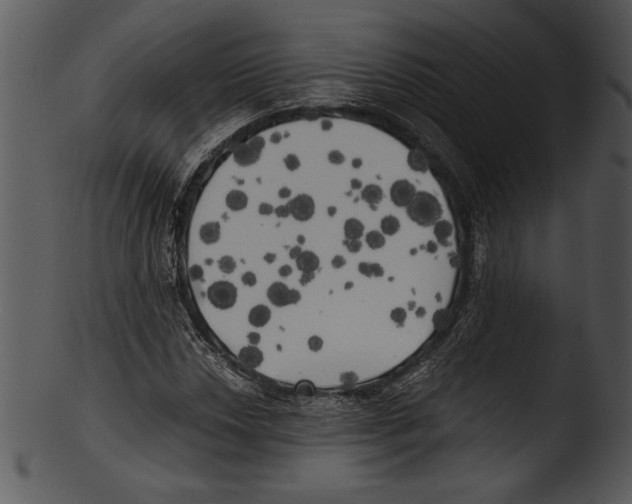 X0000103221018200809251130