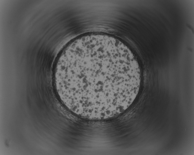 X0000103221020200809251130