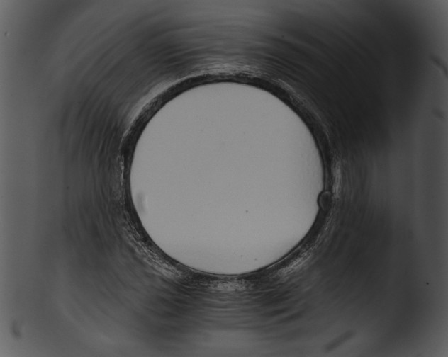 X0000103221021200809251130