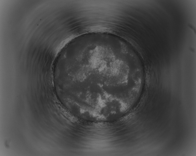 X0000103221022200809251130