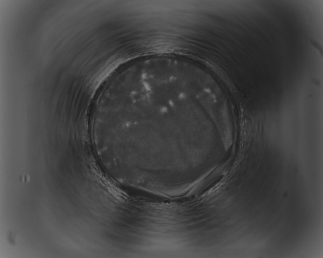 X0000103221023200809251130