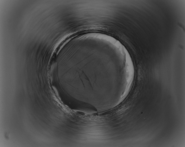 X0000103221024200809251130