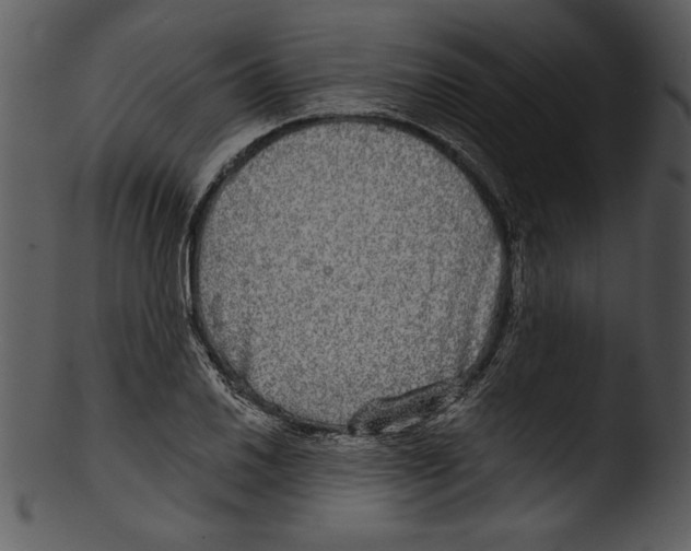 X0000103221030200809251130