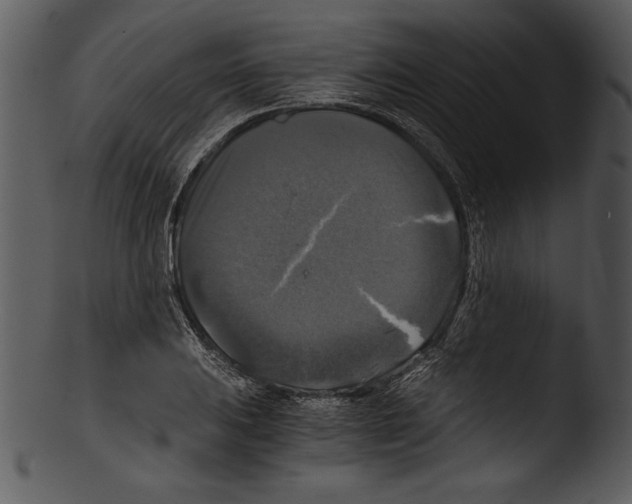 X0000103221031200809251130