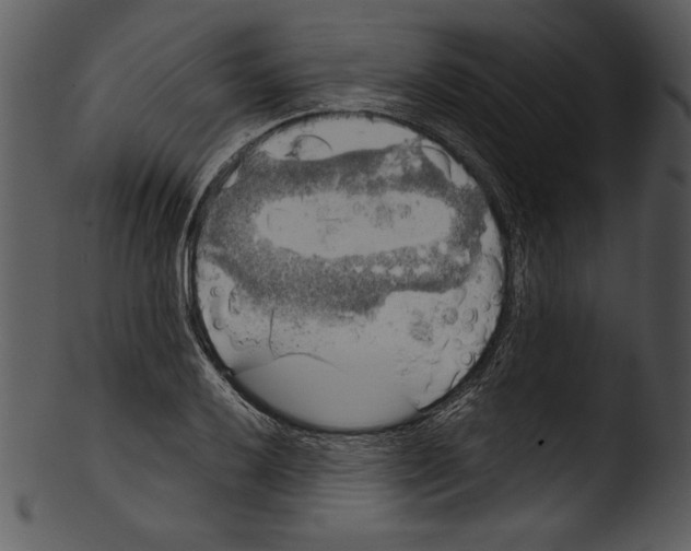 X0000103221032200809251130