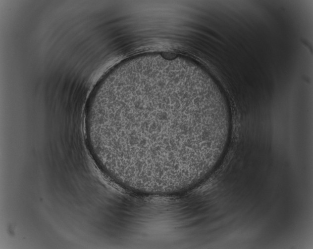 X0000103221034200809251130