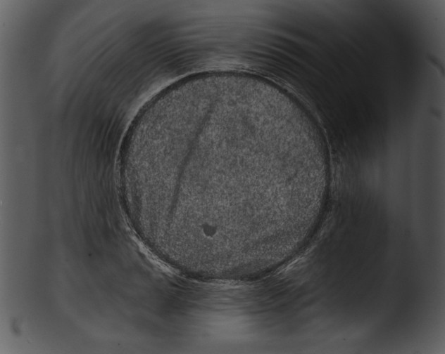 X0000103221037200809251131