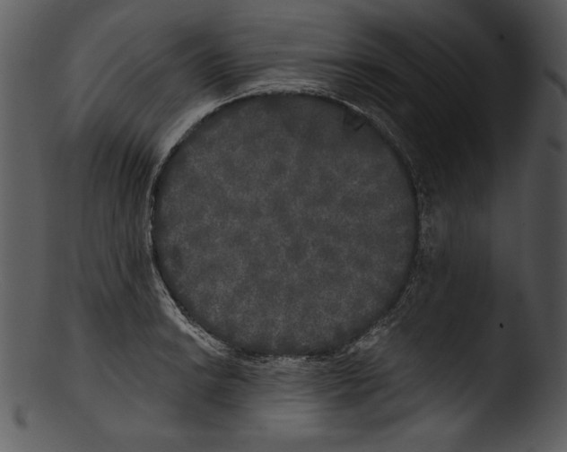 X0000103221038200809251131