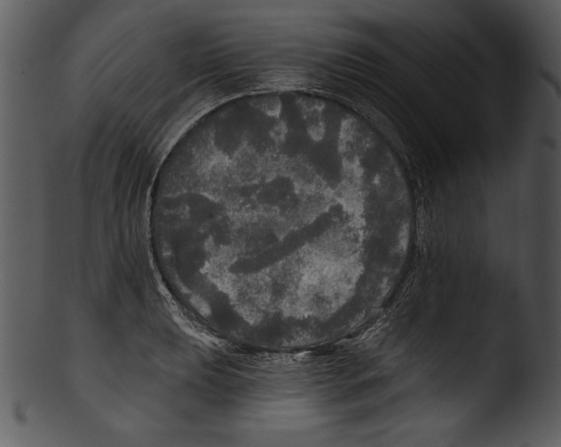 X0000103221039200809251131