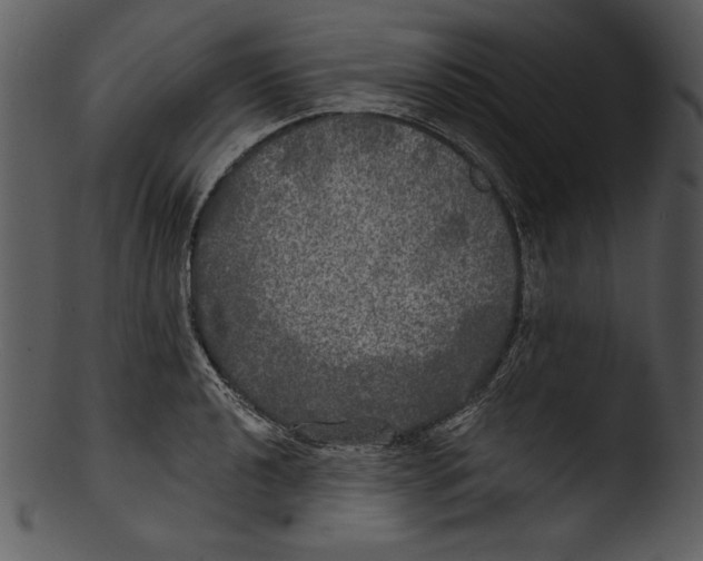 X0000103221040200809251131