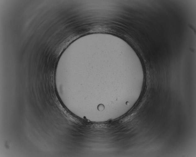 X0000103221041200809251131