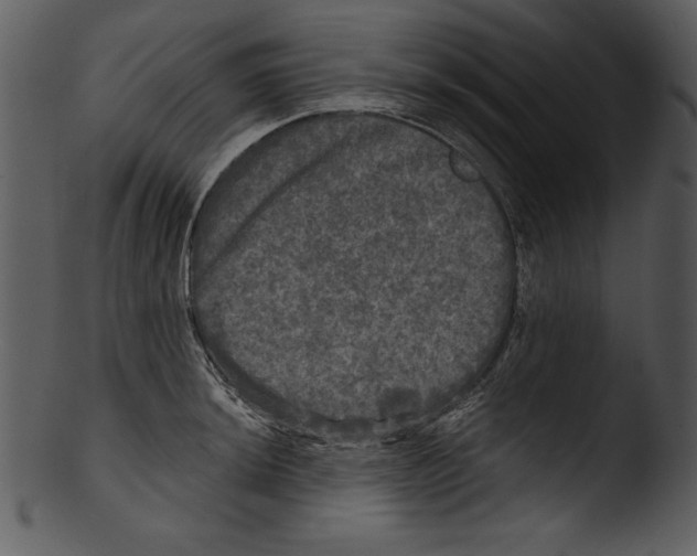 X0000103221044200809251131