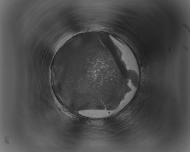 X0000103221047200809251131