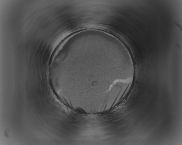 X0000103221048200809251131