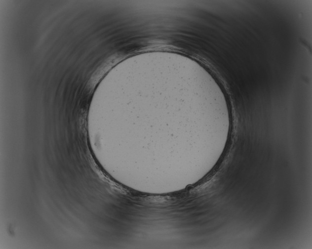 X0000103221049200809251131