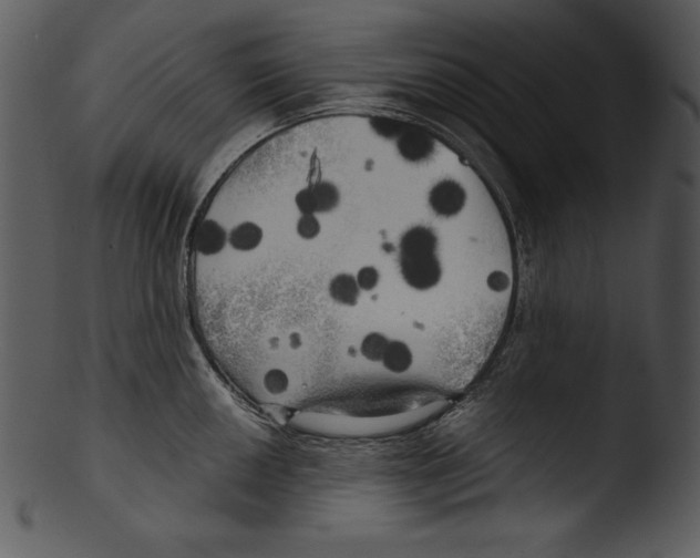 X0000103221050200809251131