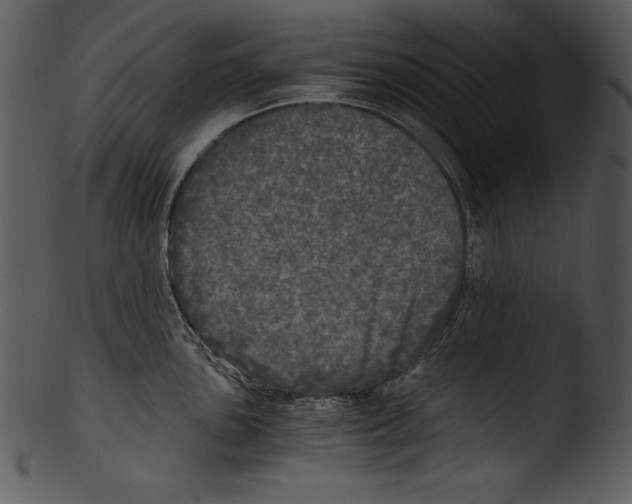 X0000103221051200809251131