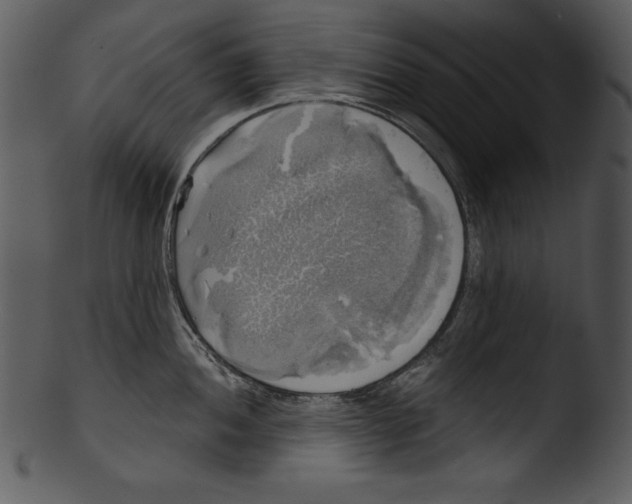 X0000103221052200809251131