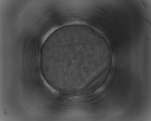 X0000103221054200809251131