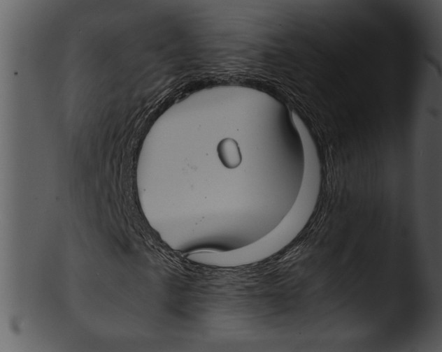 X0000103221057200809251130