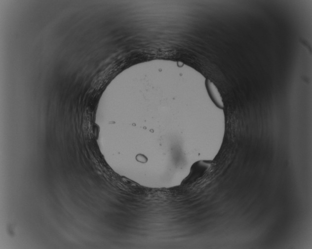 X0000103221058200809251130