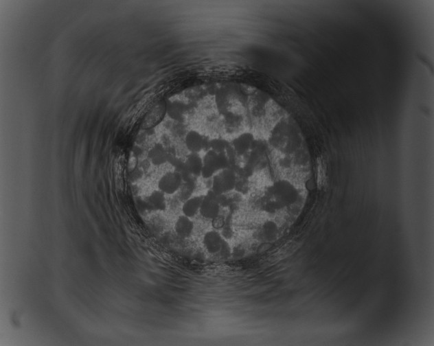 X0000103221059200809251130