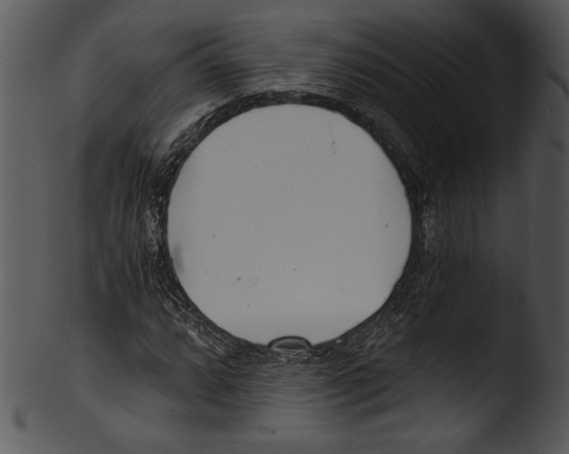 X0000103221064200809251130