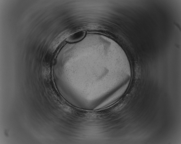 X0000103221065200809251130