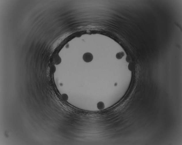 X0000103221066200809251130