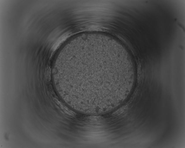 X0000103221067200809251130