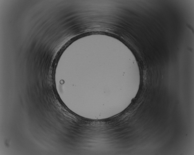 X0000103221068200809251130