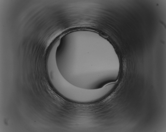 X0000103221069200809251130