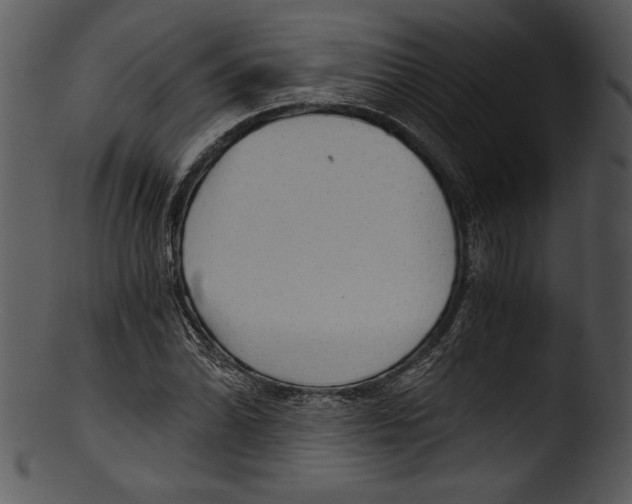 X0000103221070200809251130