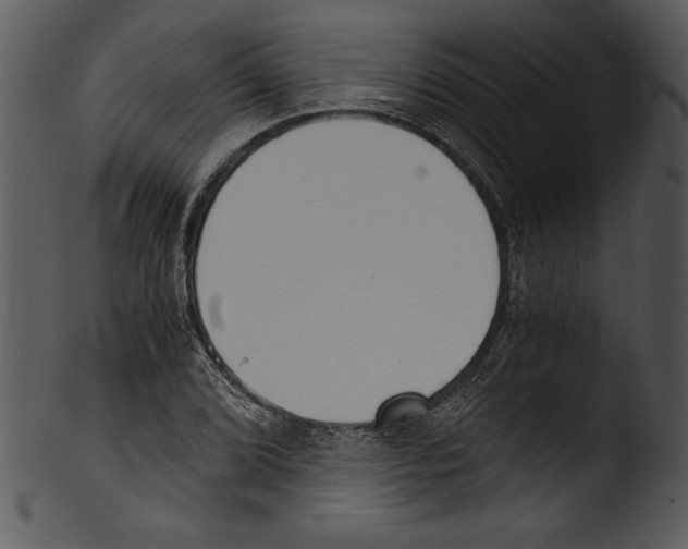 X0000103221072200809251130