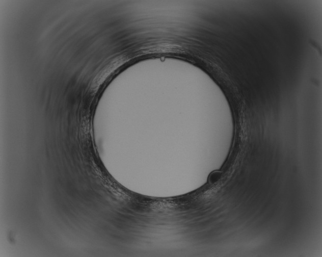 X0000103221073200809251130